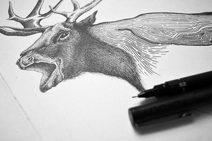 szkice-i-ilustracje-_-DEMK