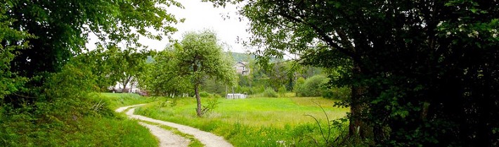 Droga dojazdowa / Blog architektoniczny